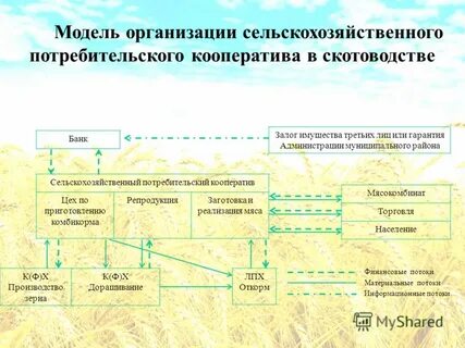 Сельскохозяйственный перерабатывающий снабженческо сбытовой кооператив