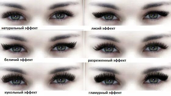 наращивание ресниц лисий эффект 2д изгиб д / l схема. ресницы 2д изгиб с+. наращивание ресниц лисий эффект 2д схема. наращивание ресниц 2 д лисий эффект схема наращивания. беличий эффект наращивание ресниц 3д схема.