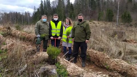 Гку тверское лесничество