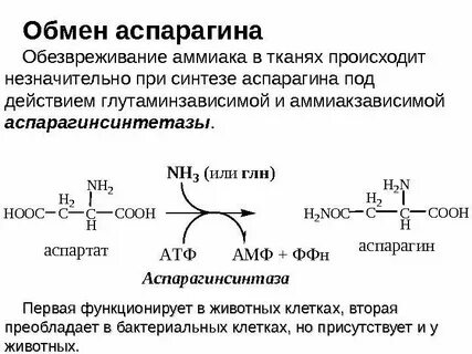 Нейтрализатор аммиака