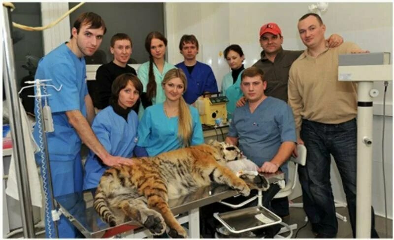 Ветклиника Доктор Ай и Ой Ветеринарный центр "Доктор Ай и Ой" работает с 2004 го
