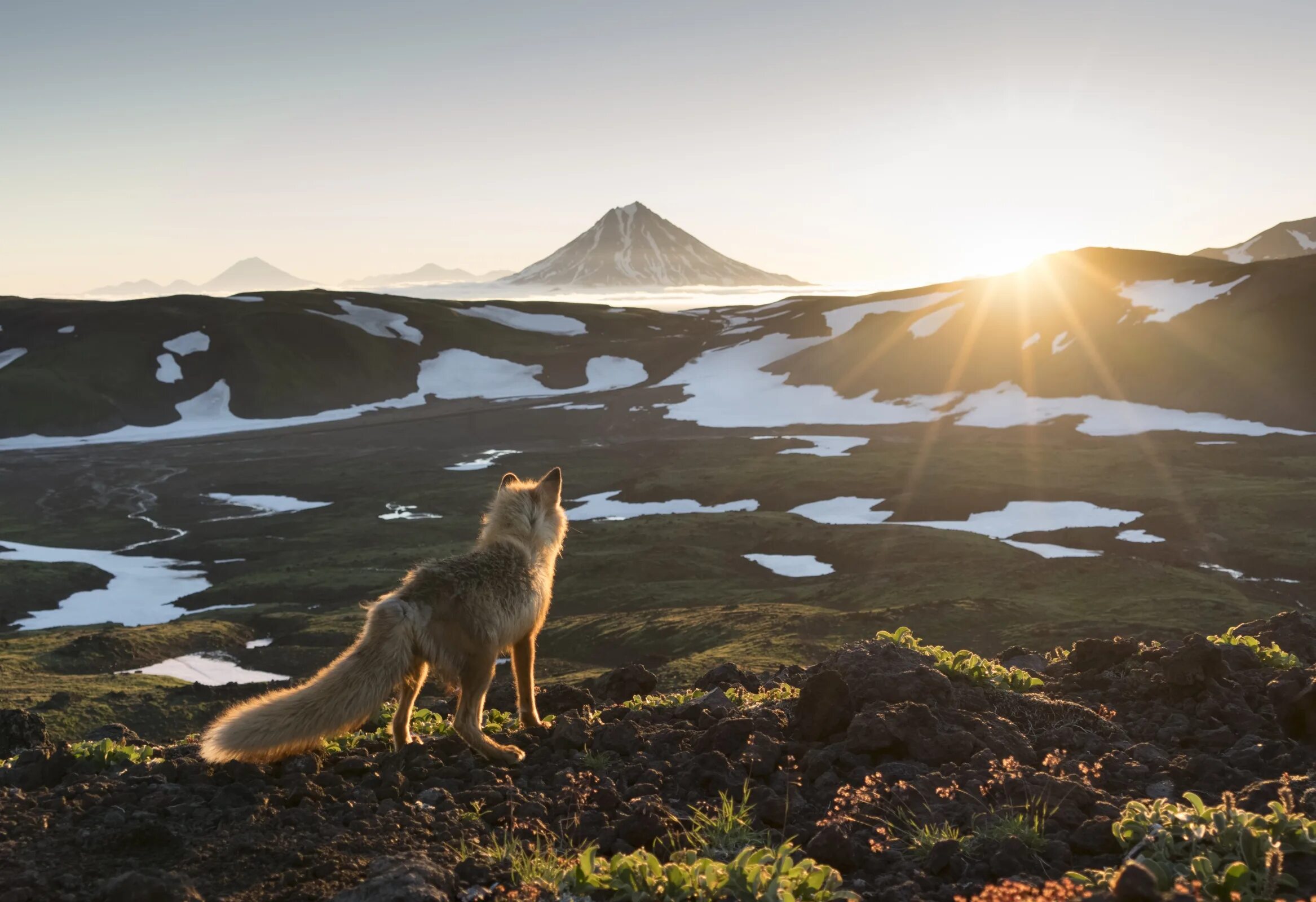 Россия в фотографиях русское географическое. Дикая природа России National Geographic. Камчатка природа. Первозданная природа. Пейзажи Камчатки.