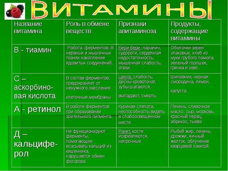 Таблица отделы тела отделы скелета кости скелета. Клетки крови их строение и функции таблица. Таблицы по биологии человек. Биология 8 таблица 1. Таблица по биологии 8 класс витамины функции.