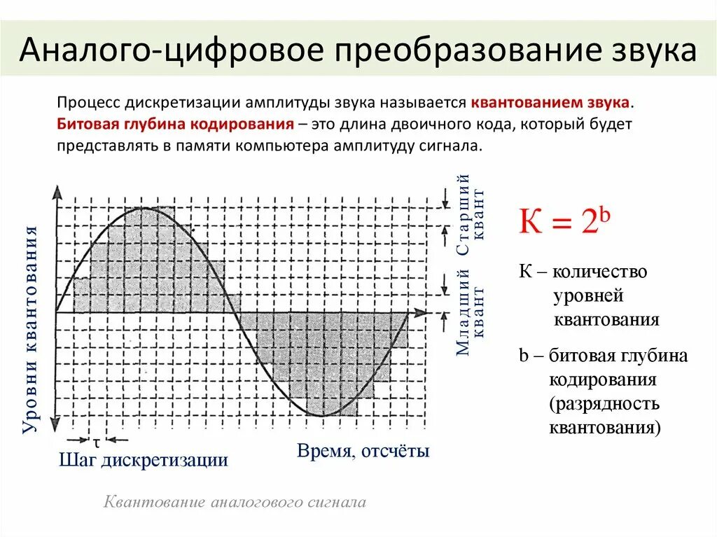 Отсчеты дискретизации. Преобразование аналогового сигнала в цифровой. опишите процесс преобразование аналогово звука в цифровой. ацп дискретизация квантование кодирование. процесс дискретизации аналогового сигнала.