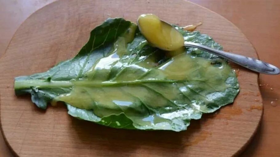 Капустный лист от шишек. Капустный лист. компресс капустный лист с медом. компресс с капустным листом.