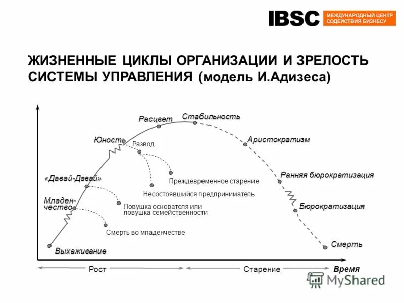 Модели жизненного цикла организации адизес. Жизненный цикл компании по адизесу. управление жизненным циклом организации. жизненный цикл карьера. жизненная фаза цикла организации зрелость.