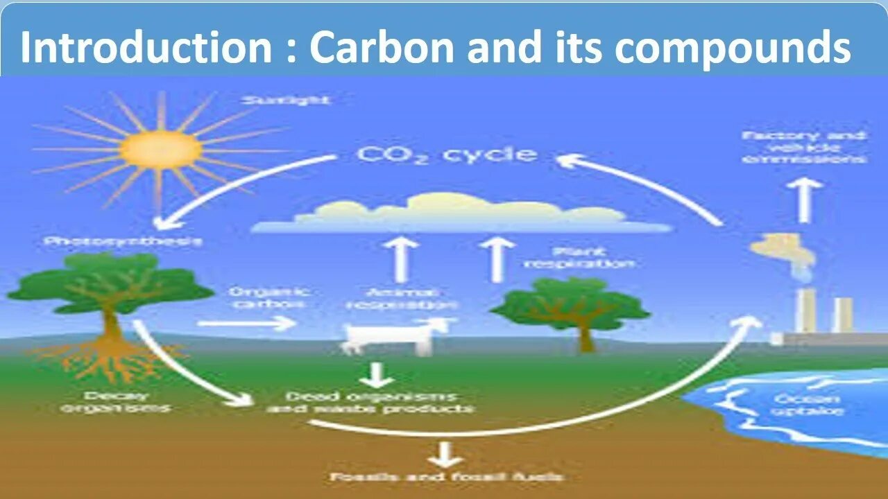 Use carbon dioxide. The Cycle of Carbon dioxide in nature. Carbon uses. Earth Surrounded by Carbon dioxide. Examples of Carbon Compounds.