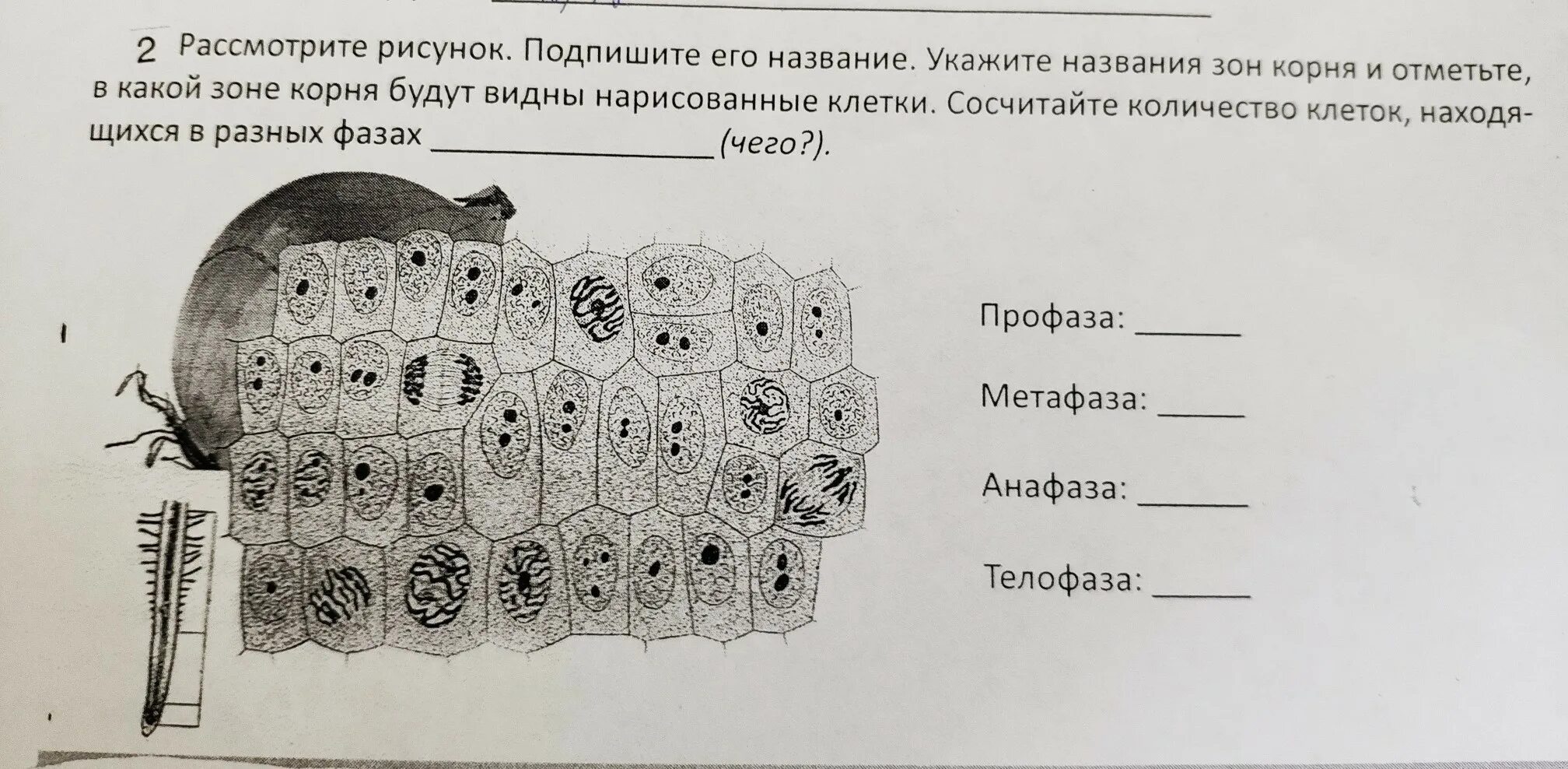 Рассмотрите рисунок 152 в и объясните почему. Рассмотрите рисунок. Рассмотрите. Рассмотри рисунок Подпиши его. Подпишите рисунок.