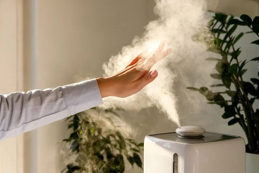 Polaris puh 8060. Очиститель воздуха humidifier. Увлажнитель воздуха для растений. Увлажнитель philips hu 4803. Увлажнитель воздуха в квартире летом.