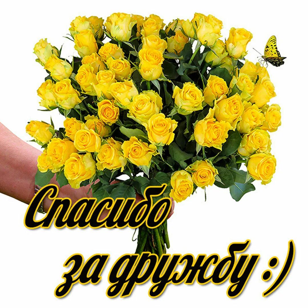 Открытка спасибо за подарок. Красивые открытки с благодарностью. Открытки с благодарностью. Благодаря за подарок. Спасибо за подарок.