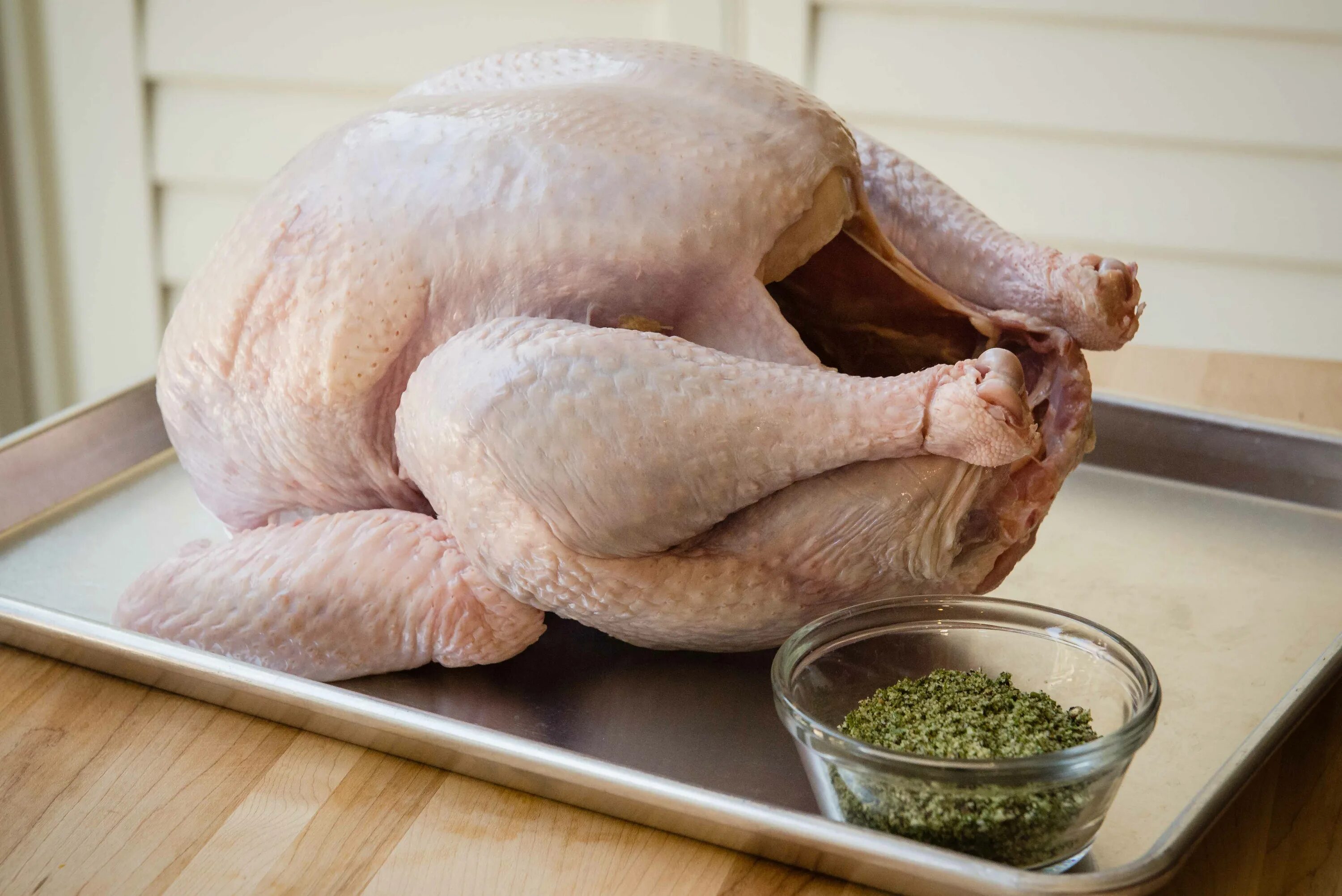 Огромный индюк. Индюк и индюшка. Мясо индейки вареное. Индейка на белом фоне. Индейка беременным.