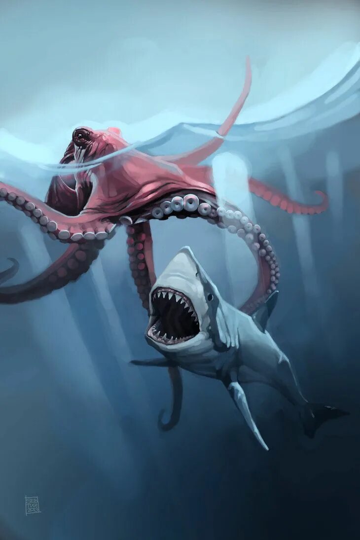 Мегалодон против. Кракен и мегалодон. mega shark vs. giant octopus. акула мегалодон. мегалодон против кракена.