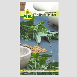 Грибная трава