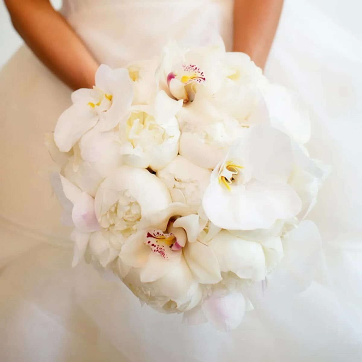 Свадебный букет из фаленопсиса. Букет с белой орхидеей цимбидиум. Букет невесты фаленопсис. Орхидея веддинг дресс. Орхидея свадебный.