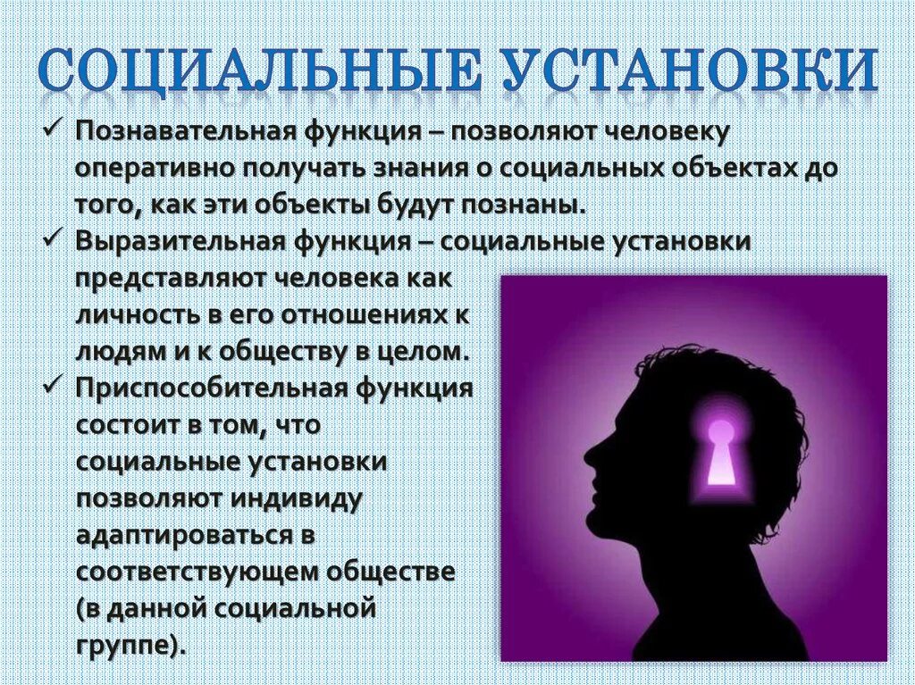Виды функций социальной работы