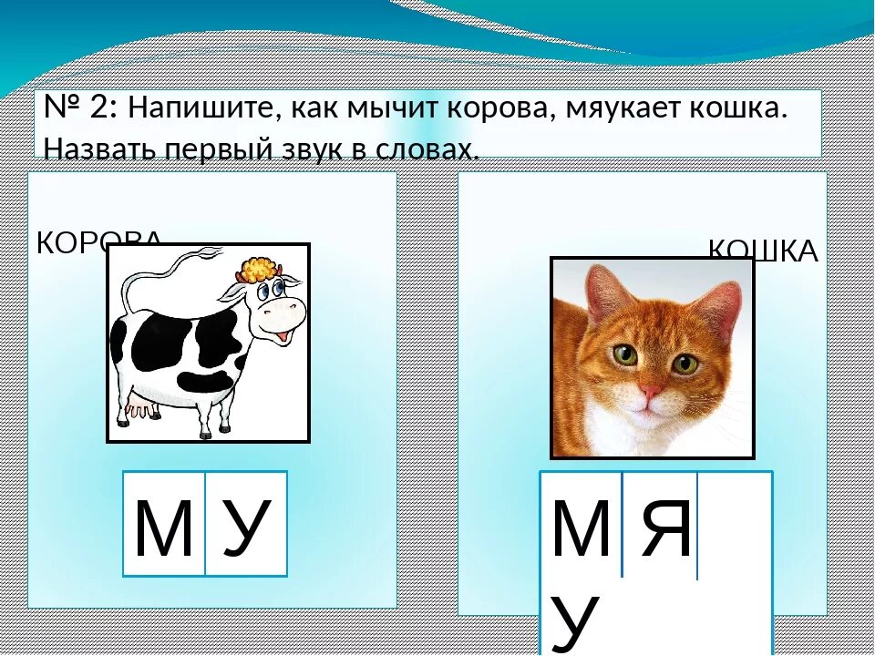 Почему мяукает часто. Почему кошка постоянно мяукает. Что делать если котёнок постоянно мяукает. Почему кошки мяукают. Почему кот постоянно мяукает без причины.