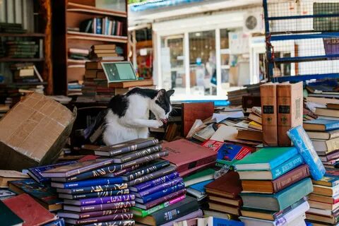 Книжный рынок краснодар чистяковская