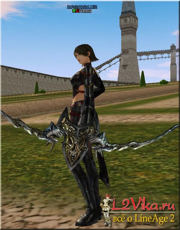 L2 bows