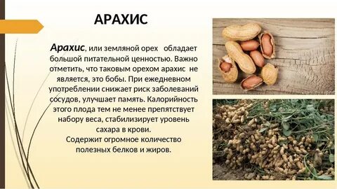 Какие орехи считаются орехами