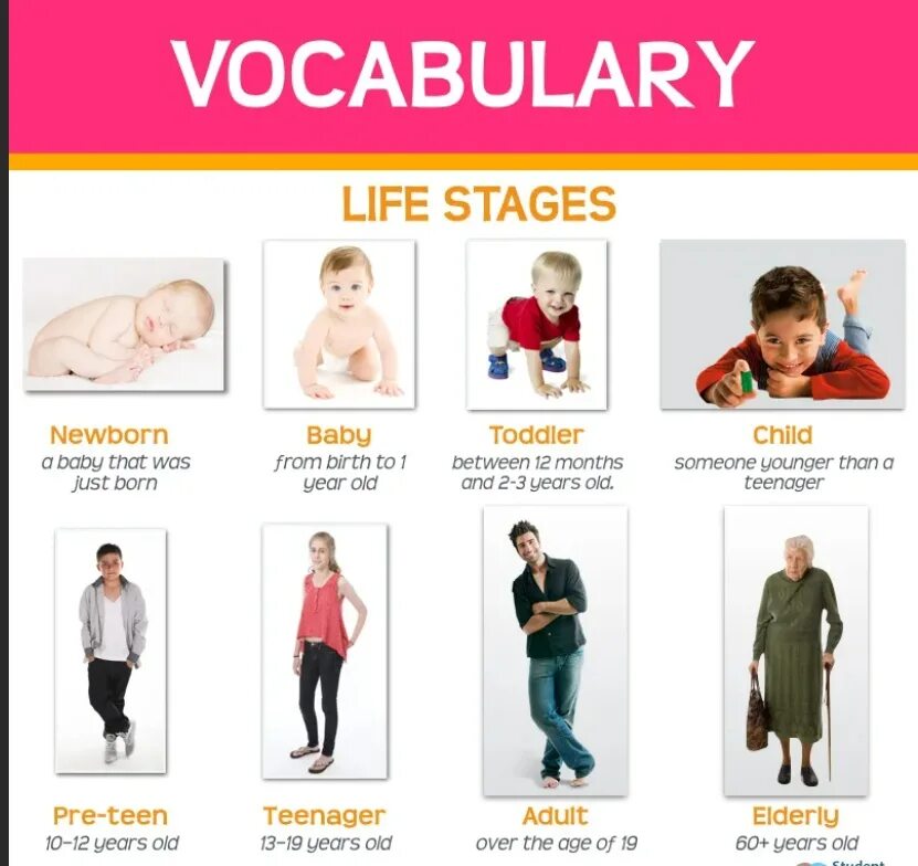 Stages of Life. Live Stage. Stages of Life in English. Stages of Life Vocabulary. Age periods