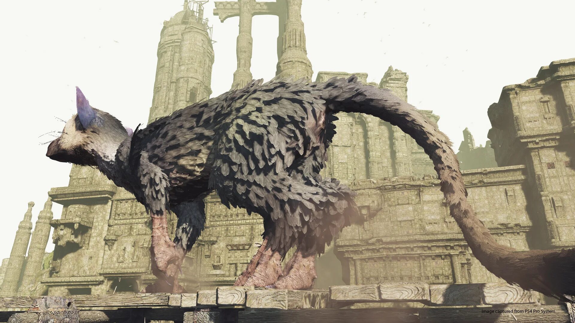 Трико the last Guardian. Трико ласт Гардиан скрин. Трико из the last Guardian Скриншот.