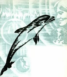 Дельфины 1979