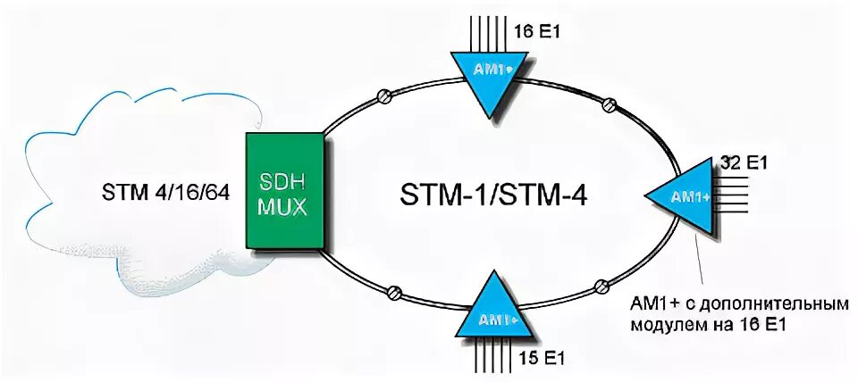 Sdh