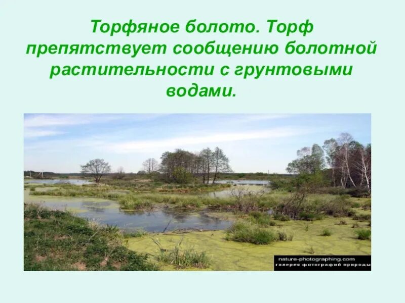 Образование торфа. Торфяное болото 5 букв кроссворд. Торф на болоте. Типы торфяных болот. Торфяные разработки.