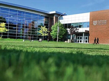 University engineering education