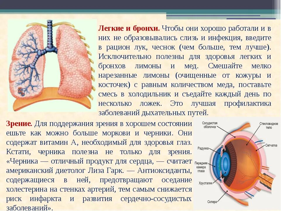 Очищаются ли легкие. Средство для очистки бронхов. Очищения легких и бронхов. Очистить лёгкие от макроты. Как очистить бронхи и легкие.