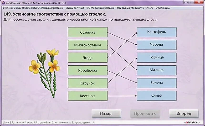 Соедини стрелками изображения способов добычи. Соедини стрелками растения с их названием. Соедини стрелочками к каким группам относятся растения. Соедини стрелками изображения с их названиями растений. Соедини стрелкой к какой системе относятся органы.