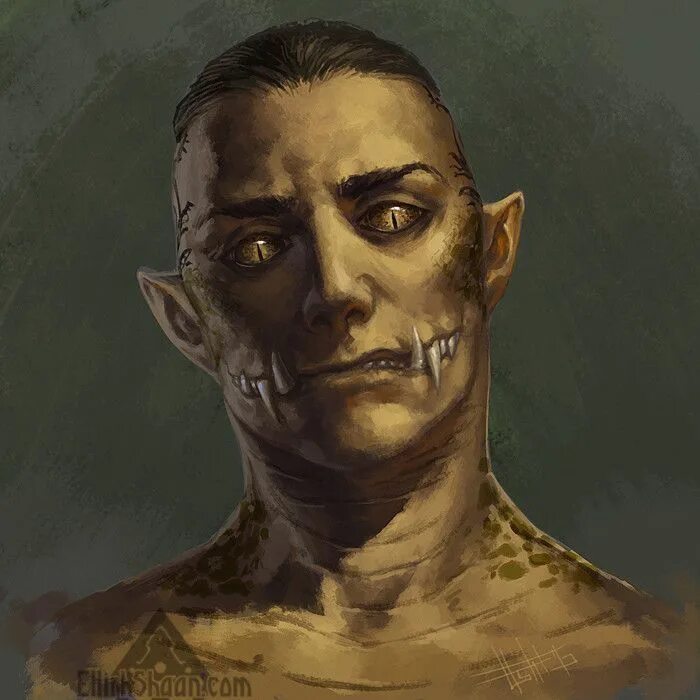 Юань ти днд. Yuan-ti pureblood. чистокровный юань-ти днд. юань-ти чистокровный арт. юань ти днд 5.