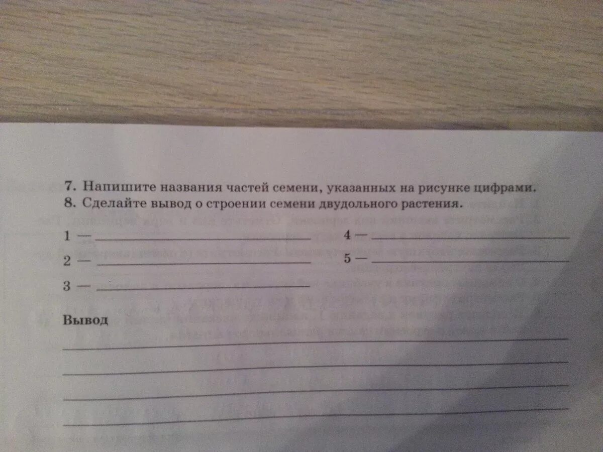 Лабораторная работа биология 6 класс фасоль. Напишите названия частей семени указанных цифрами на рисунке. Лабораторная работа по биологии 5 класс строение семени фасоли. Напиши названия частей семени указанных цифрами на рисунке. Строение двудольного семени.