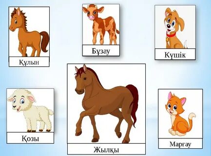 Евгения Лозаның интимдік суреттері