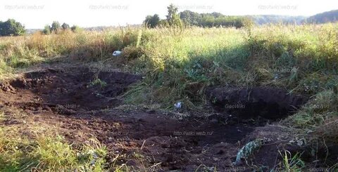 Его добывают на болотах