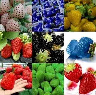Клубники разные