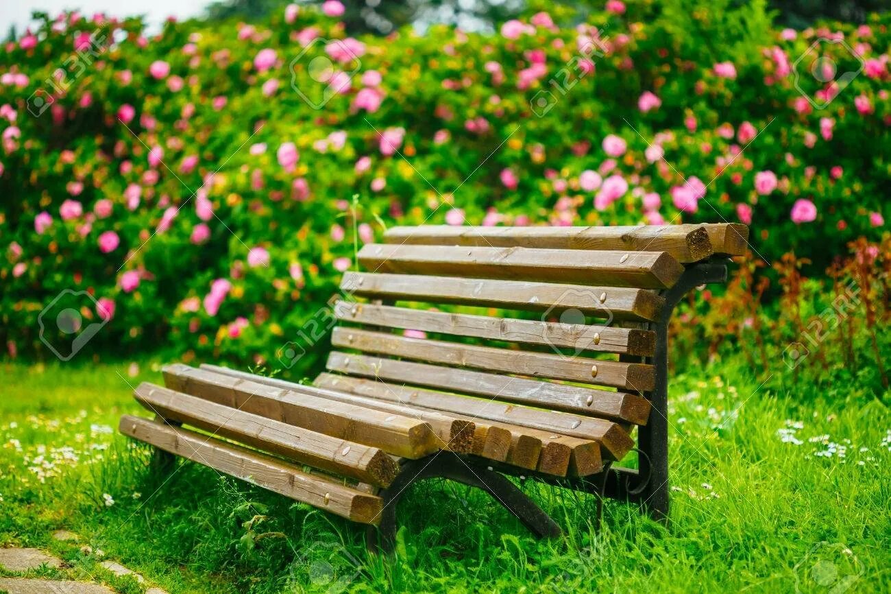 Деревянные скамейки в современном стиле. Где найти скамейку. Скамья 171-102 аптренд. Где найти скамейку. Лавка деревянная (l=1500 мм).