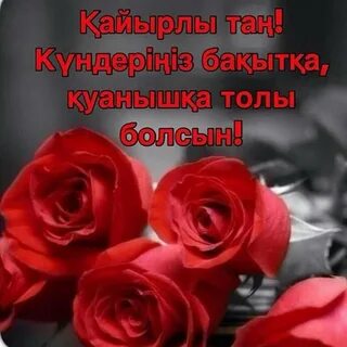 Ылғал минет техникасы бейне