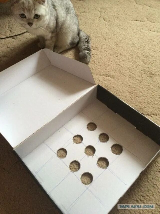 Домик для кошки из коробки. Домик для кошки из коробки. Как сделать коробку котенка. Дом для кошки из коробки. Домики для котов из коробок.