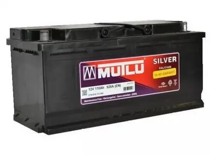 Silver 110