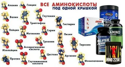 Сколько пить аминокислоты