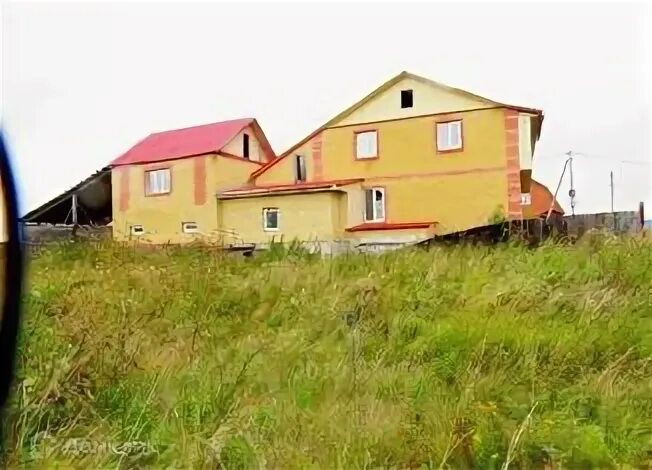 Борки тюменский
