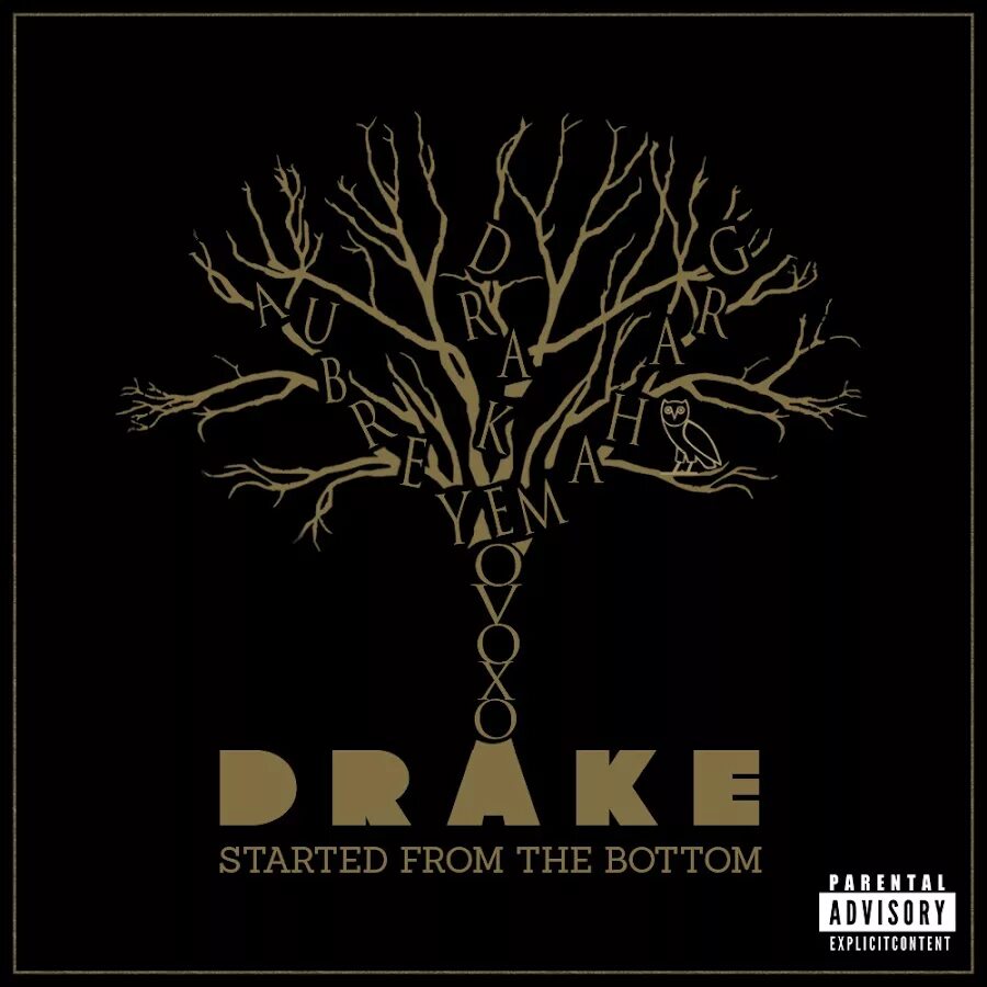 That started out. Drake started from the. started from the bottom. drake from the bottom. тату started from the bottom.