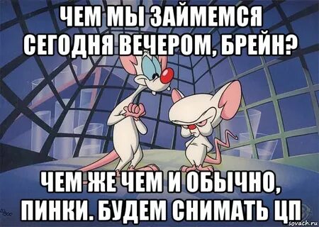 Ты знаешь чем мы сегодня займемся