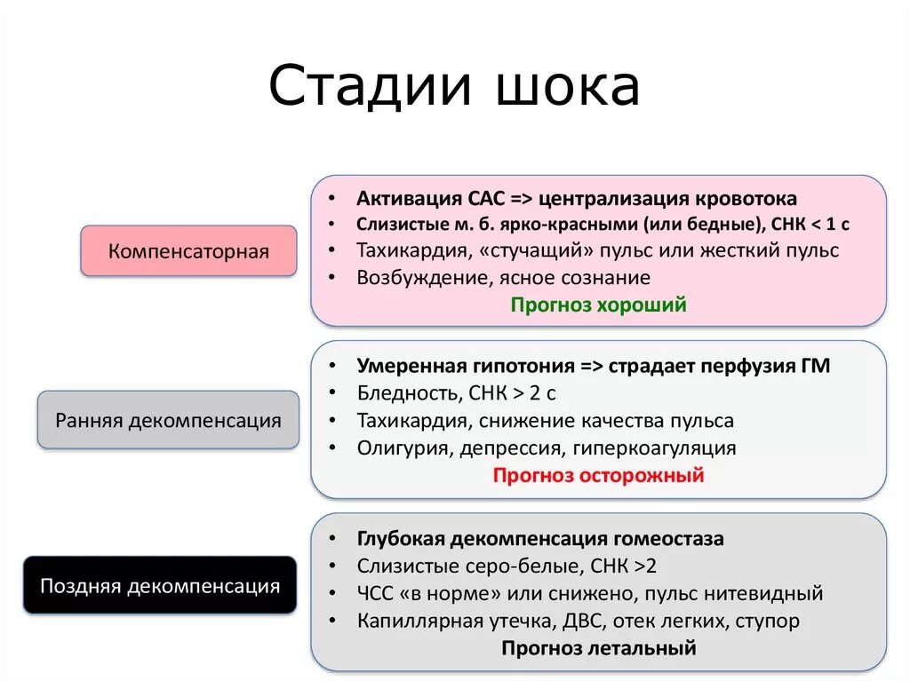 2 Стадия шока. Фаза компенсации шока. Стадии развития шока. Характеристика этапов развития шока.