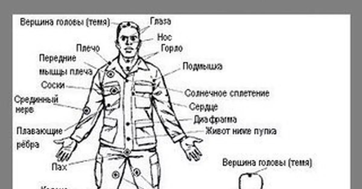 Уязвимые стороны. Уязвимые болевые точки на теле человека. Анатомия человека болевые точки схема. Самые больные точки человека. Самые болевые точки у человека.