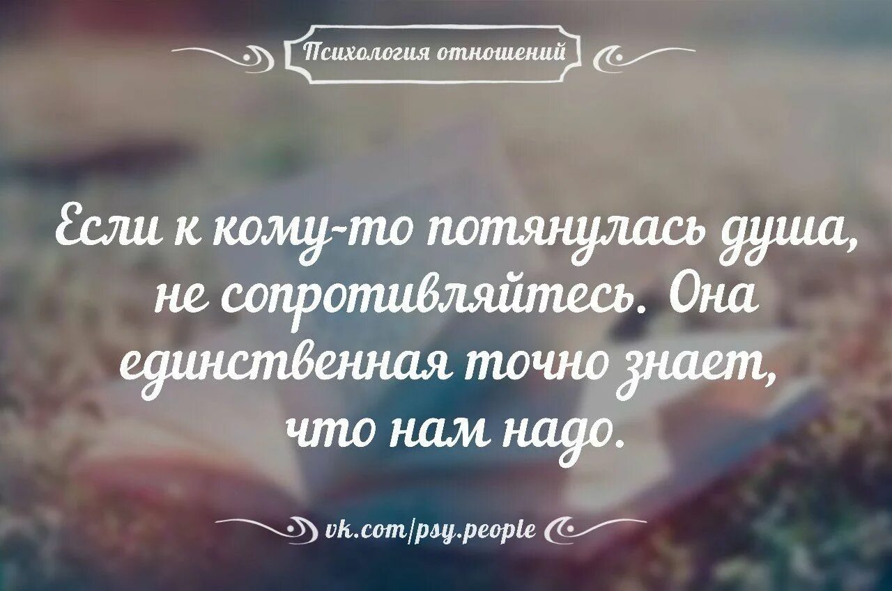 Насколько жизненно. Афоризмы про отношения. Цитаты про отношения. Афоризмы про отношения полов. Мудрые высказывания об отношениях.