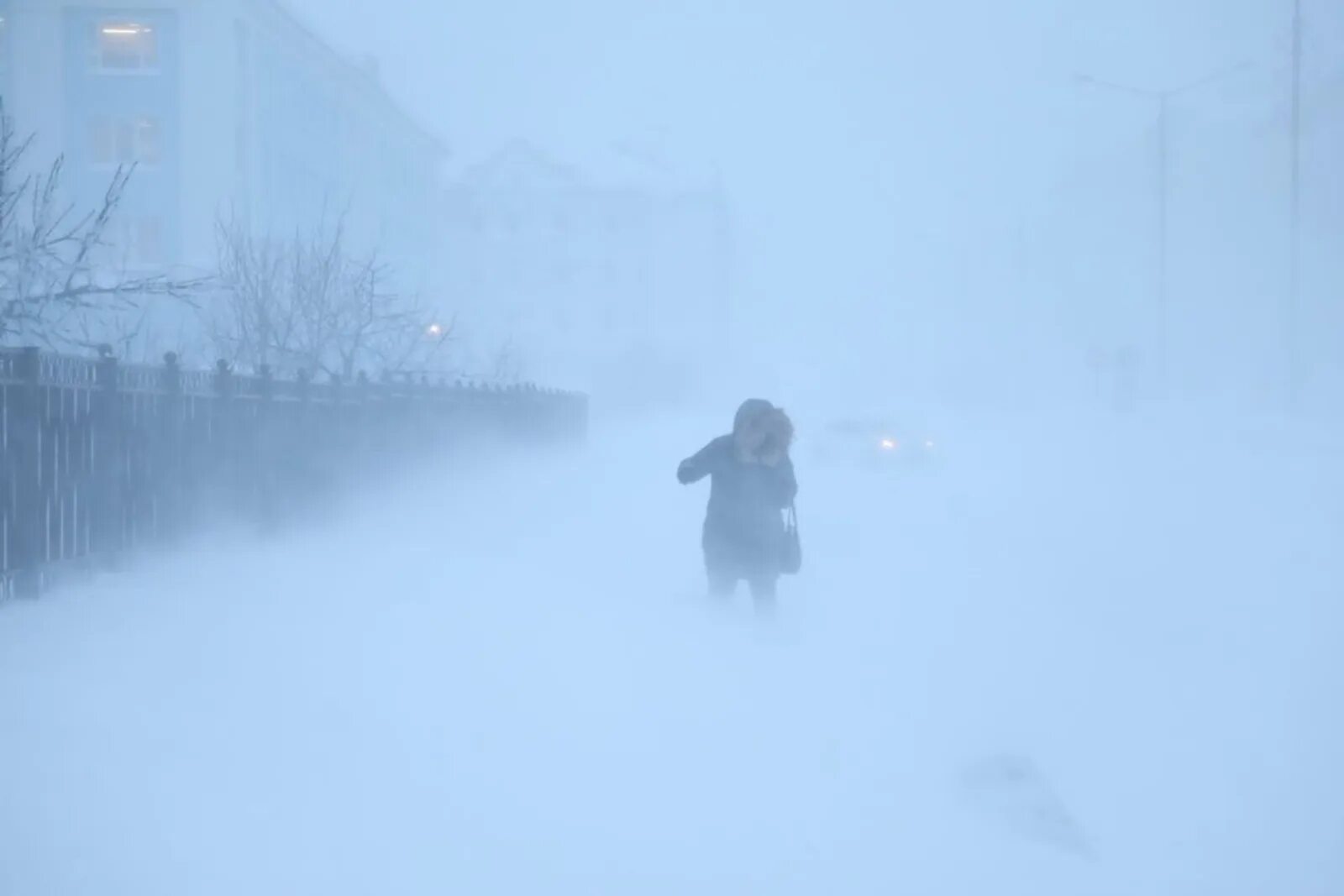 Сильная метель. Сильный снег метель. Снегопад метель. Снежная буря в городе. Город холодных ветров