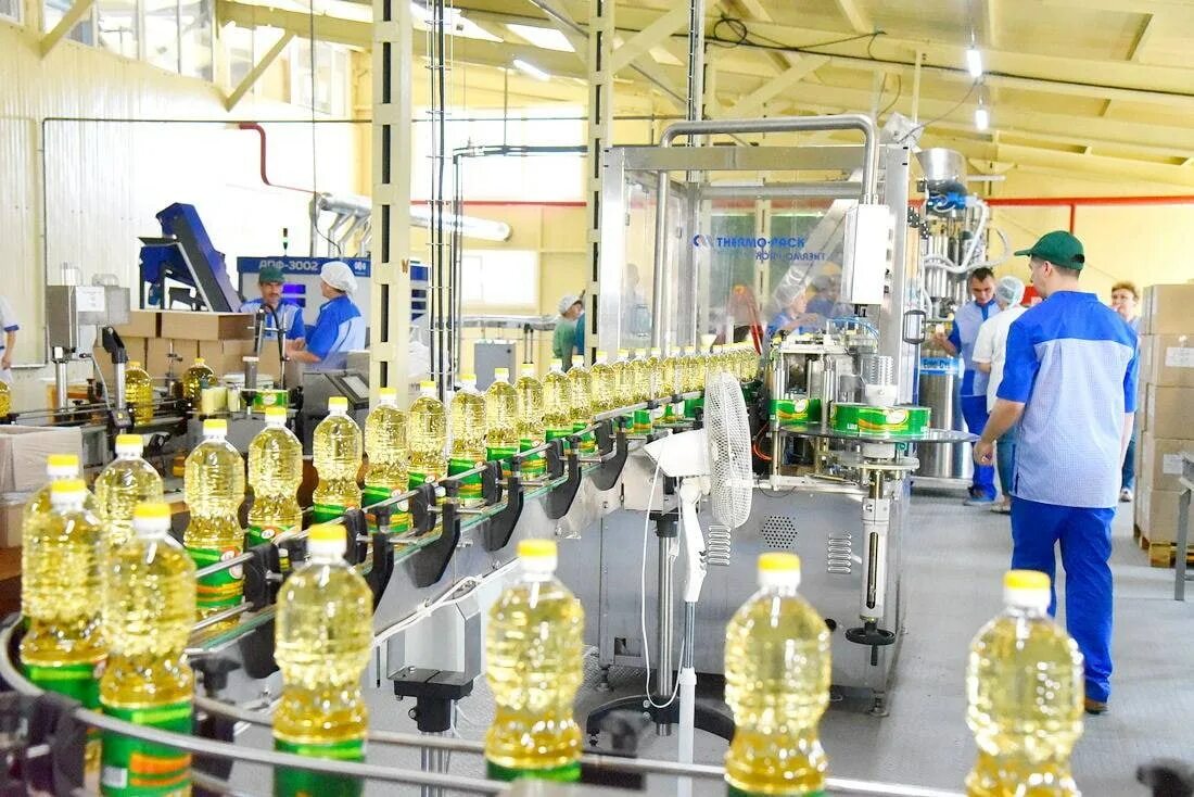 завод подсолнечного масла. масло подсолнечное в цеху. завод растительных масел. юг руси масло подсолнечное. завод подсолнечного масла.