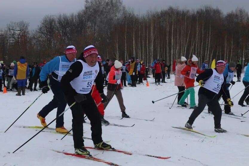 Уфа спорт екатеринбург. Фитнес зал феникс. Уфа спорт екатеринбург. Уфа спорт екатеринбург. Феникс спорт 12.